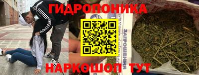 шишки Ставрополь